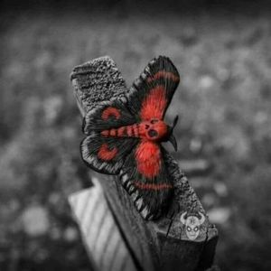 Meet your Posher, Denise